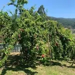 Casa de Férias Casa Con Privada Moaña