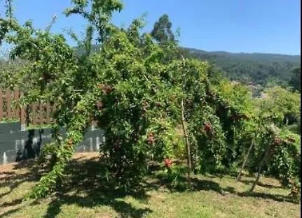 Nyaraló Casa Con Privada Moaña