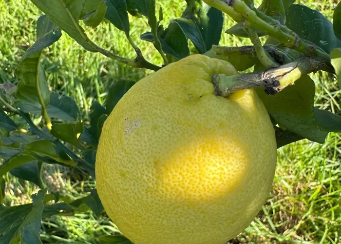 Casa Con Privada Dom wakacyjny